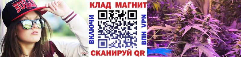Сколько стоит Северская ГАШИШ  мега зеркало  Меф  Каннабис  APVP 
