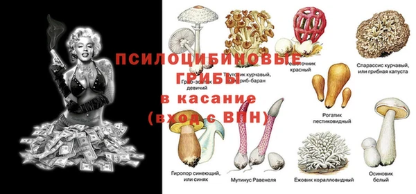 амф Наволоки