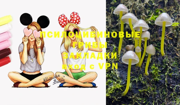амф Наволоки